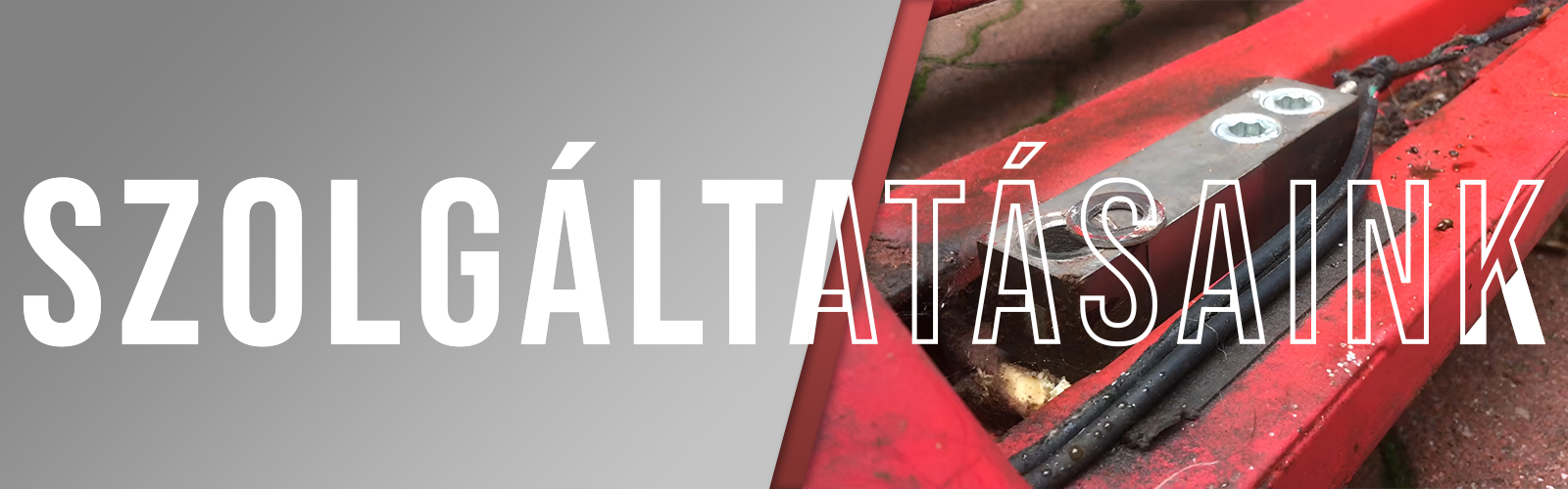 szolgáltatásaink
